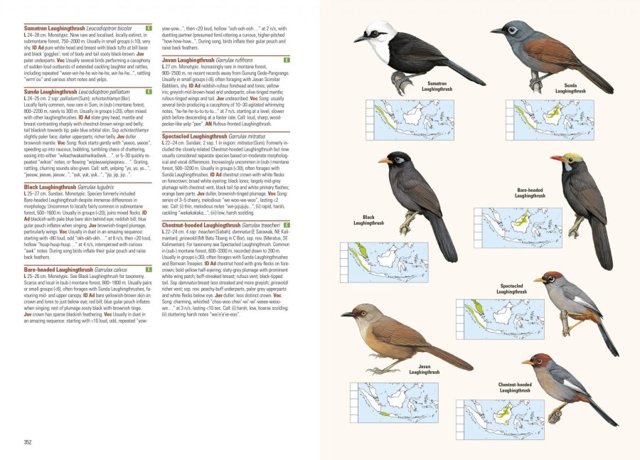 Birds of the Indonesian Archipelago sample page